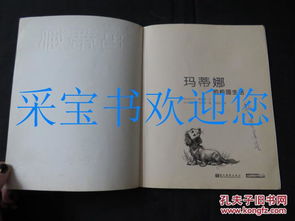 我的成長(cháng)故事校園生活作文