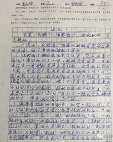 寫(xiě)一篇龍山小學(xué)校園的作文300字