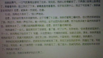 校園榕樹(shù)作文450字之上