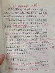 校園生活二三事300作文