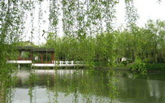 寫(xiě)春天來(lái)到了校園作文200字