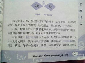 作文,校園