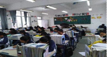 論手機進(jìn)校園作文800字