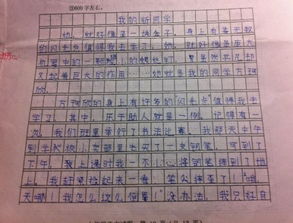 新的校園新的同學(xué)作文結尾