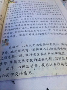 校園的一角作文圖書(shū)角,校園的一角—植物角作文,校園的一角衛生角作文