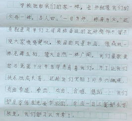 作文,感受,校園