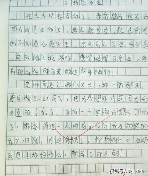 小學(xué)生去大學(xué)校園作文
