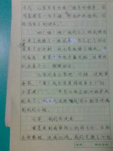作文,校園內,故事