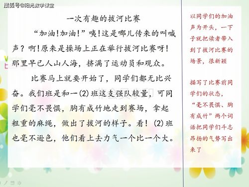 作文,記事,校園,活動(dòng)