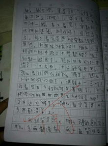 發(fā)生在校園一件事350字作文四級