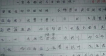 校園的秋色作文650字
