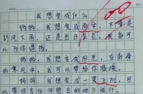 作文,寫(xiě)一篇,夏天,校園