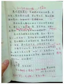 初二作文校園新聞有標題有背景