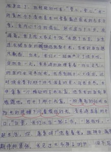 寫(xiě)我們現在的校園的作文