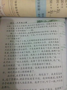 作文,太陽(yáng),校園