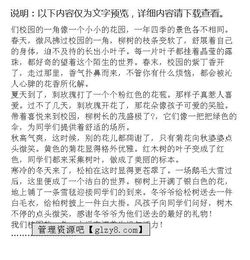 描寫(xiě)校園的作文(第一實(shí)驗小學(xué))