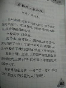 校園新面貌作文結尾