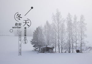冬季的校園800字作文