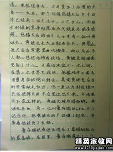 校園運動(dòng)會(huì )作文300字作文