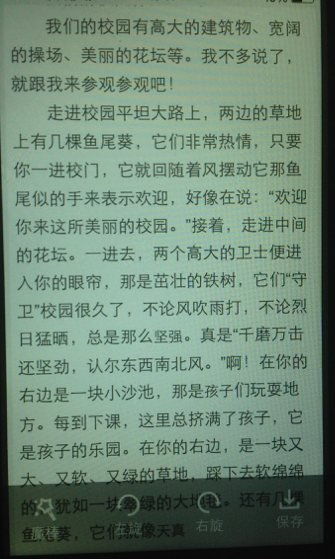 作文說明文我的校園二百字