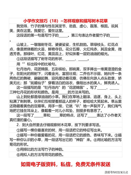 描寫校園花草樹木的作文600
