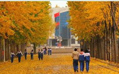 作文,校園,活動(dòng),大全