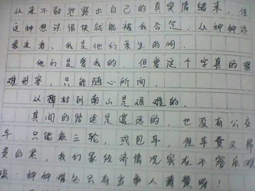 和諧校園敘事作文800字
