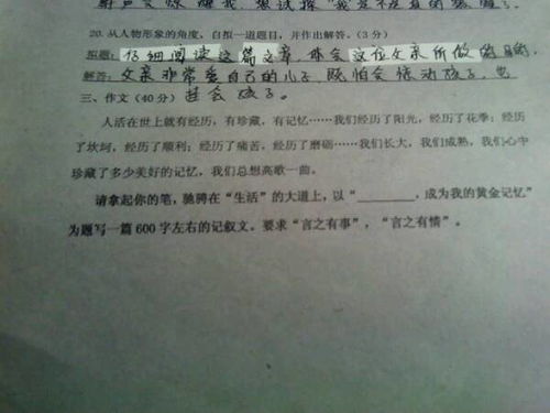 校園樟樹(shù)下的情思作文
