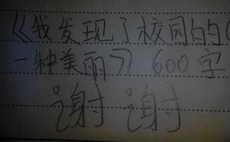 我發(fā)現了校園的美作文100字