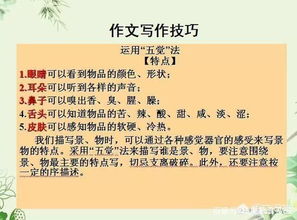 校園中為師生做貢獻的人作文