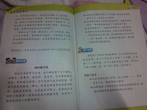 英語(yǔ)校園圖書(shū)角作文
