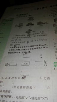 美麗的校園作文3oo字左右