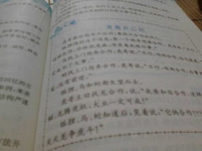 作文,校園