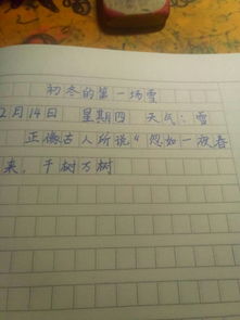 校園里的第一場(chǎng)雪400字作文怎么寫(xiě)