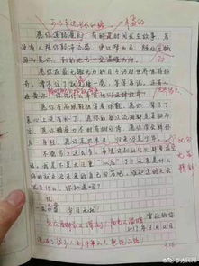 初二我的校園作文