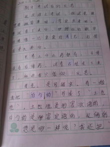 我的校園作文四百字左右作文