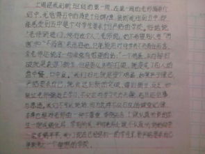 校園同學(xué)們歡鬧的作文