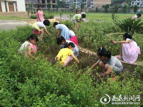 校園里的除草工作文