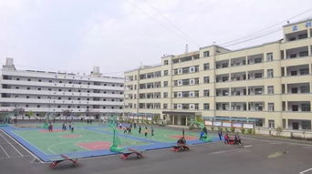 民族文化進(jìn)校園作文