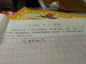 三小校園的作文
