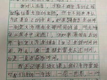 陽(yáng)光校園作文體育
