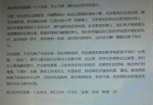 校園感人作文450字左右