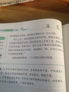 作文,一件事,校園