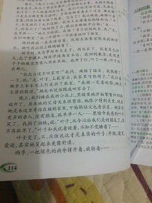 腹稿,作文,校園,范文