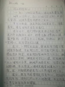 初二語(yǔ)文新聞作文校園發(fā)生的事
