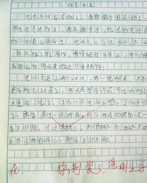 我的校園作文教師