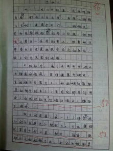 我的高中校園作文600字