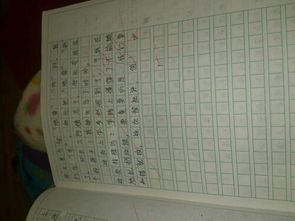 校園的一件事物的作文四百字作文