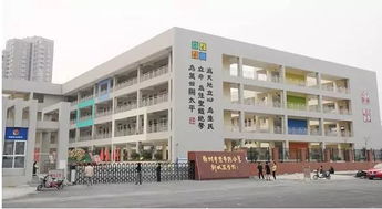 寫徐州青路小學(xué)校園的作文