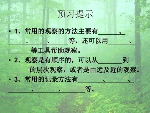 校園的樹(shù)四季變化作文